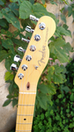 2000 USA Fender Telecaster Thinline