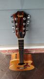 2012 Taylor Baritone 8