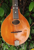 1915 Gibson A3 Mandolin