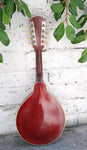 1915 Gibson A3 Mandolin