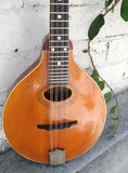 1915 Gibson A3 Mandolin