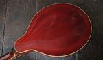 1915 Gibson A3 Mandolin