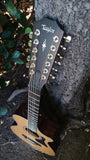 2021 Taylor 12 String 352ce