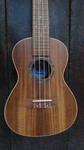 Penguin Classic Koa, Concert