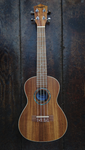 Penguin Classic Koa, Concert