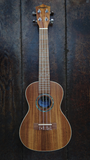 Penguin Classic Koa, Concert