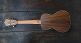 Penguin Classic Koa, Concert