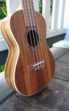 Penguin Classic Koa, Concert