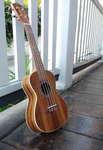 Penguin Classic Koa, Concert