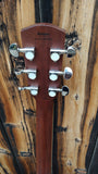 Alvarez Acoustic AD 710