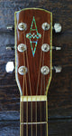 Alvarez PD100s Tree of Life
