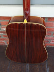 Alvarez PD100s Tree of Life