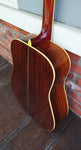 Alvarez PD100s Tree of Life