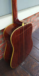 Alvarez PD100s Tree of Life