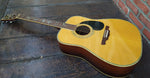 Alvarez PD100s Tree of Life