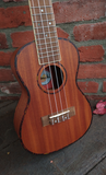 Amahi Classic Mahogany Concert UK220C