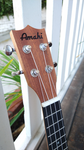 Amahi Select Mahogany, Soprano UK120W