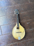 1919 The Gibson Mandolin A3