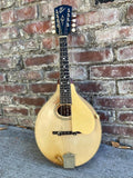 1919 The Gibson Mandolin A3