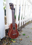 Black Bear Mahogany