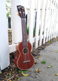 Black Bear Mahogany
