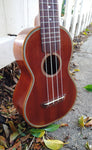 Black Bear Mahogany