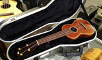 Black Bear Mahogany