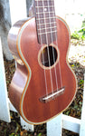 Black Bear Mahogany