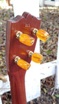 Black Bear Mahogany
