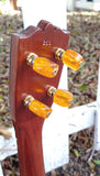 Black Bear Mahogany