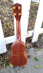 Black Bear Mahogany
