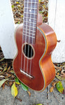 Black Bear Mahogany