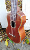 Black Bear Mahogany