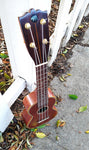 Black Bear Mahogany