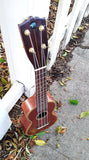 Black Bear Mahogany