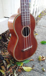 Black Bear Mahogany