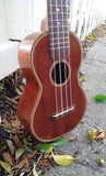Black Bear Mahogany