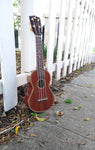 Black Bear Mahogany