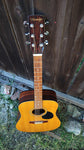 Blueridge BR-35