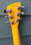 Chiquita Travel electric Guitar (mini)