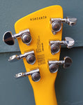 Chiquita Travel electric Guitar (mini)
