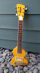 Chiquita Travel electric Guitar (mini)