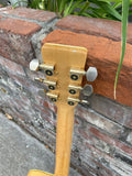70's Ibanez Concord
