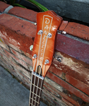 DanElectro 59DC Copper Sunburst