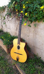 Dell Arte Gypsy Jazz
