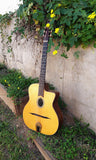 Dell Arte Gypsy Jazz