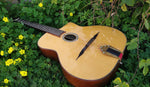 Dell Arte Gypsy Jazz