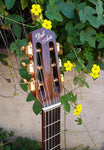 Dell Arte Gypsy Jazz