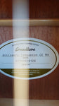Discovery Companion CE Mahogany Natural