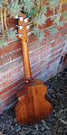 Discovery Companion CE Mahogany Natural